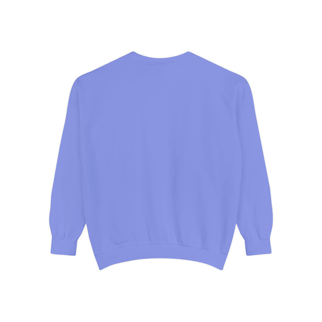 PA-S College Sweatshirt