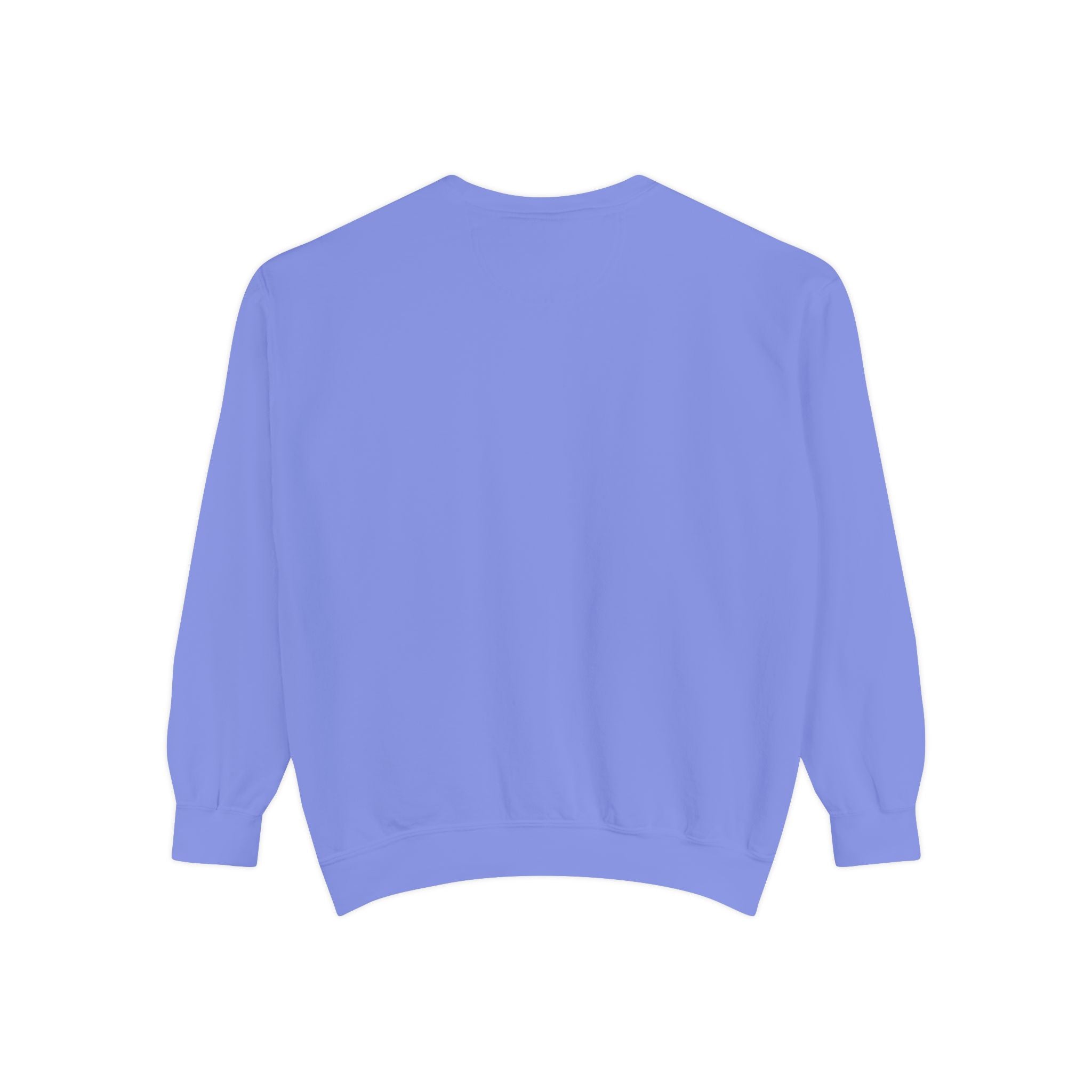 PA-S College Sweatshirt