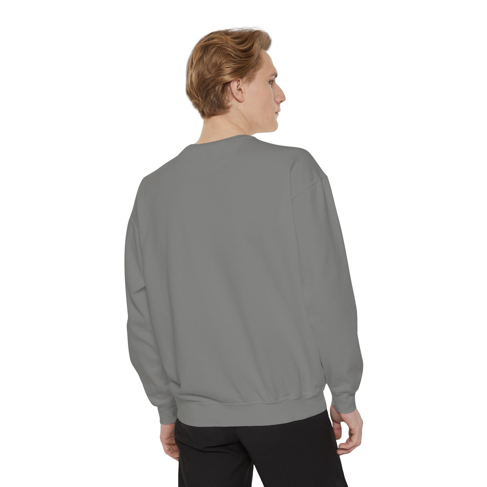 PA-S College Sweatshirt