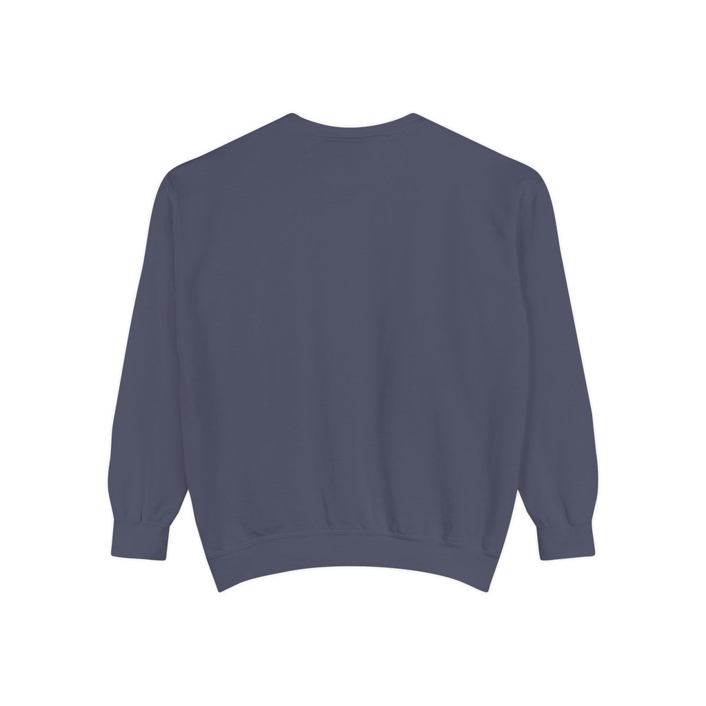 PA-S College Sweatshirt