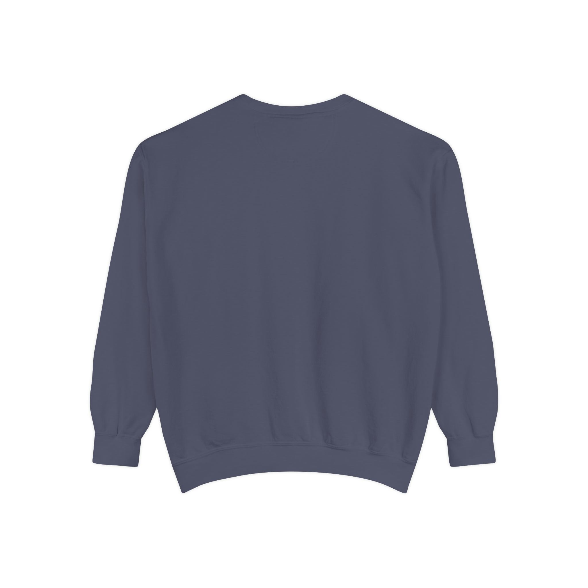 PA-S College Sweatshirt