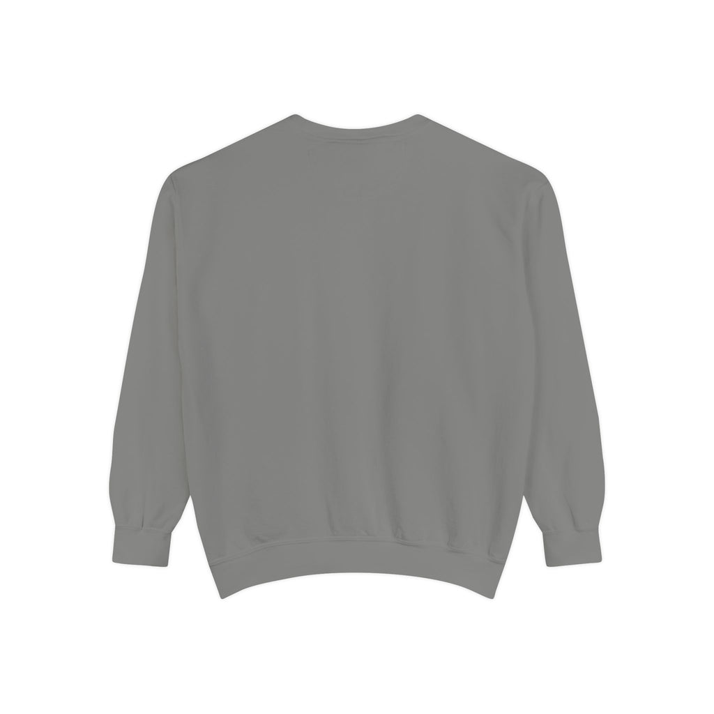PA-S College Sweatshirt