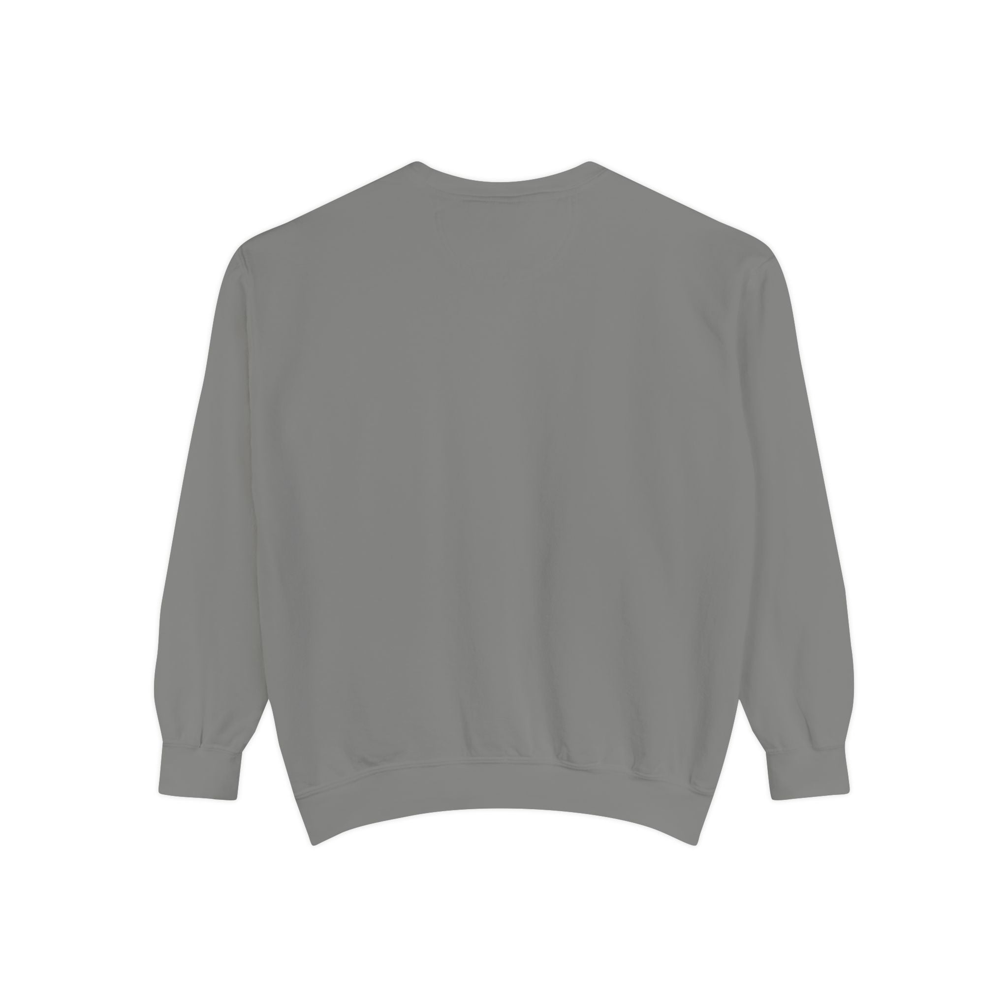 PA-S College Sweatshirt
