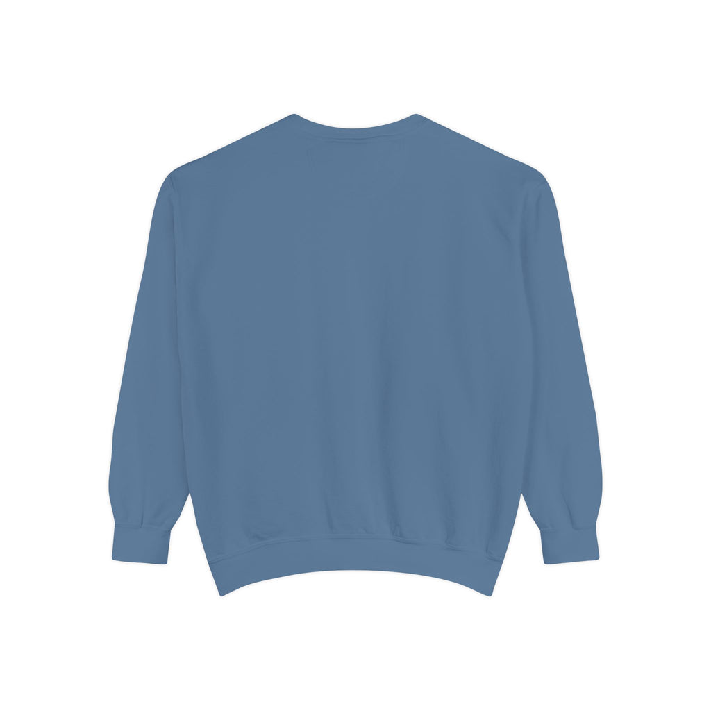 PA-S College Sweatshirt