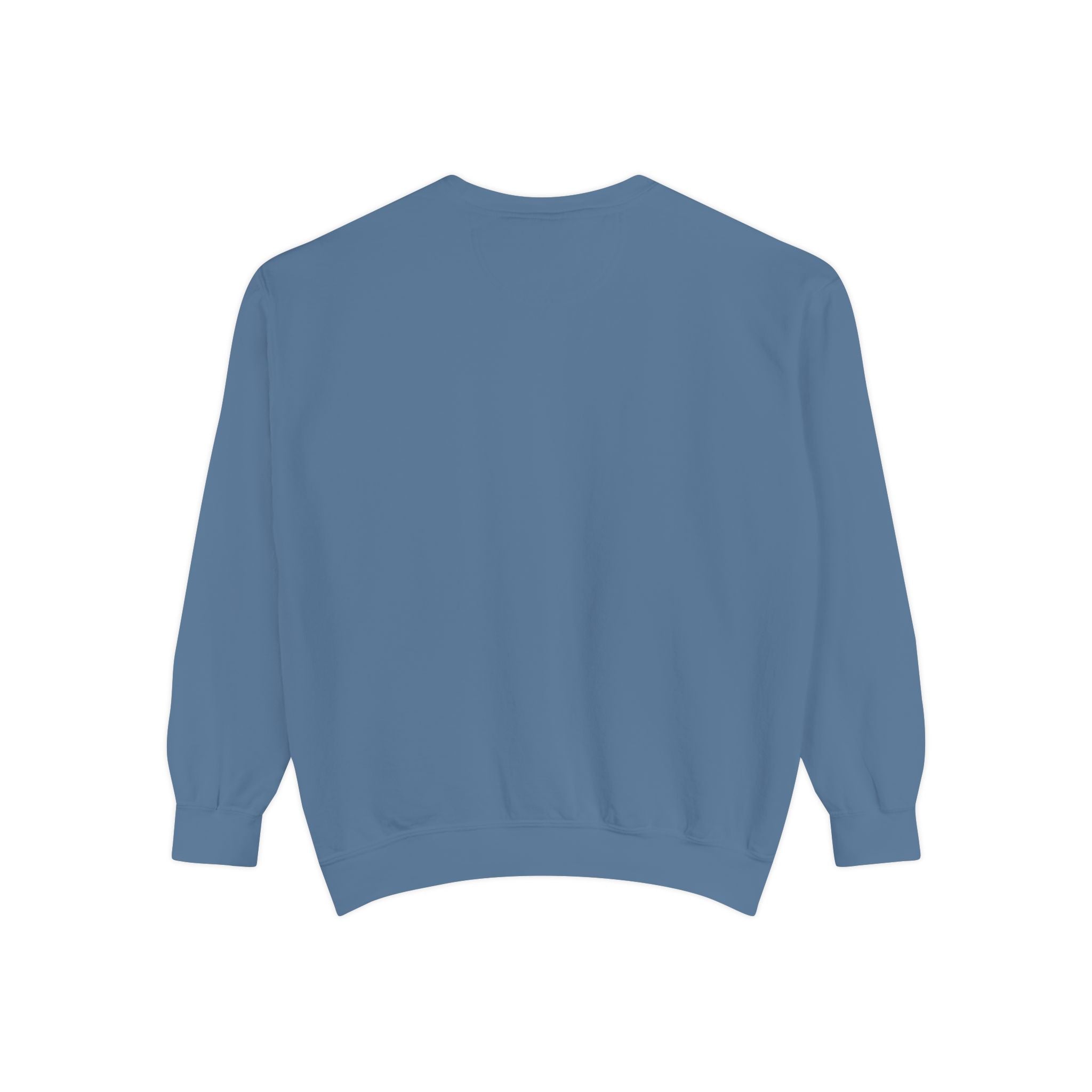 PA-S College Sweatshirt